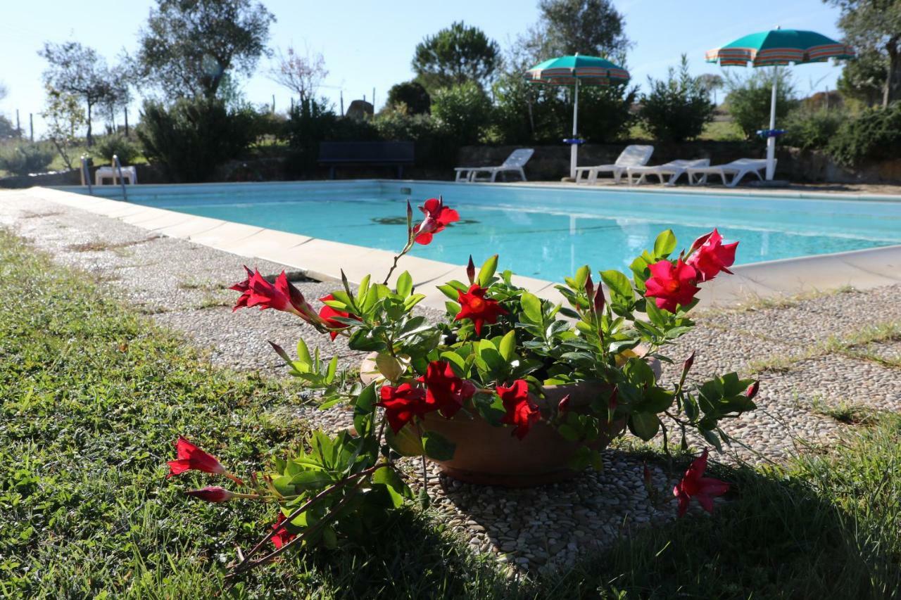 Agriturismo Tinti Монтияно Экстерьер фото