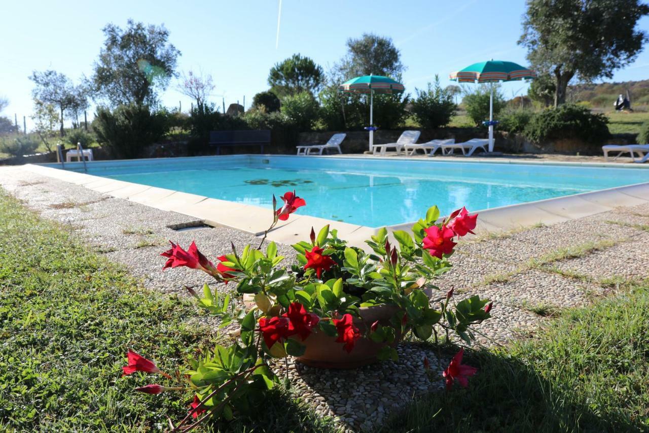 Agriturismo Tinti Монтияно Экстерьер фото